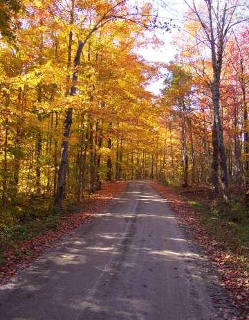 Vermont Foliage