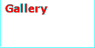 Puffin Gallery