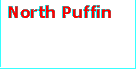 North Puffin